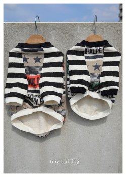 画像6: ROCK STAR☆