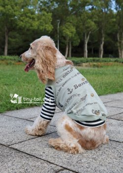 画像6: バックオープンベスト　グラフィック