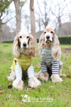 画像3: バックオープンベスト　グラフィック