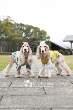 画像5: バックオープンベスト　グラフィック