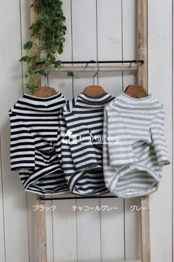 画像4: シンプルボーダー