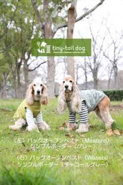 画像7: シンプルボーダー