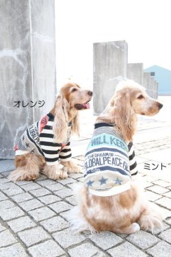 画像2: ROCK STAR☆