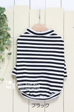 画像10: シンプルボーダー