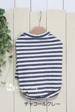 画像12: シンプルボーダー