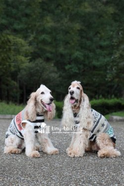 画像9: タンク☆ROCK STAR