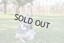 画像3: polka dot !!