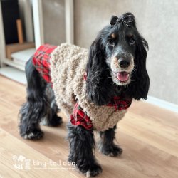 画像6: 即納　リバーシブルボレロ