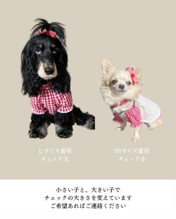 画像2: 受注製作 　ギンガムチェックチュニック