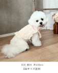 画像7: Cocotte Frill (ココット・フリル)