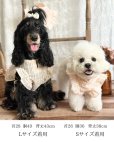 画像5: Cocotte Frill (ココット・フリル)