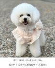 画像8: Cocotte Frill (ココット・フリル)
