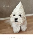 画像1: Élu Bonnet (エリュ・ボンネット) (1)