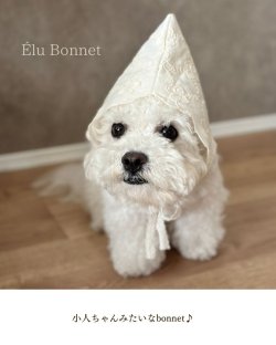 画像1: Élu Bonnet (エリュ・ボンネット)