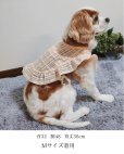 画像8: Cocotte Frill (ココット・フリル)