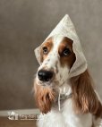 画像2: Élu Bonnet (エリュ・ボンネット)