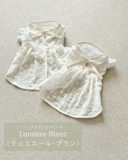 画像1: Lumière Blanc (リュミエール・ブラン)