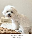 画像9: Lumière Blanc (リュミエール・ブラン)