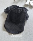 画像4: 即納　Duolette(デュオレット)