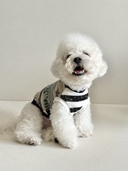 画像7: タンク☆ROCK STAR