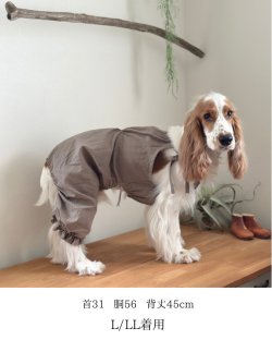 画像9: ギャザーサロペット　カヌレ