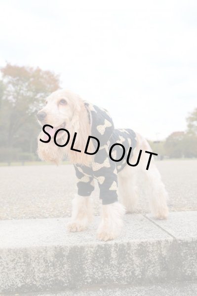 画像4: 継続ホビークラス(月曜午後クラス) (4)