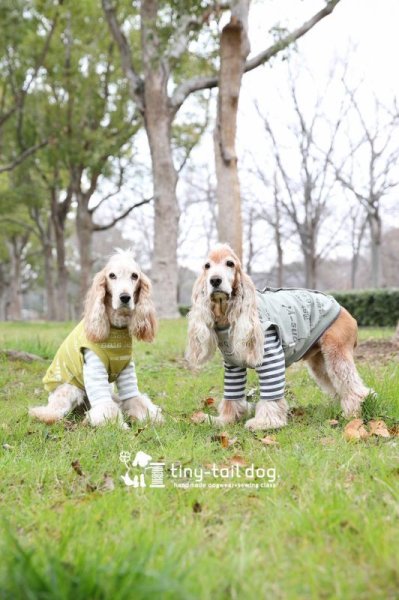 画像4: バックオープンベスト　グラフィック (4)