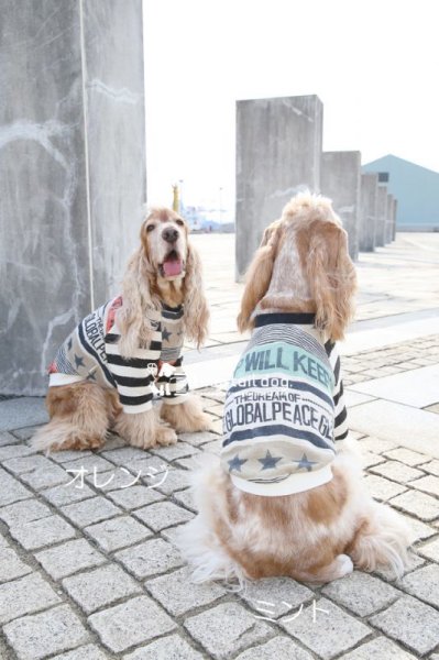 画像3: ROCK STAR☆ (3)