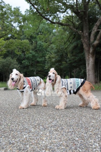 画像8: タンク☆ROCK STAR (8)