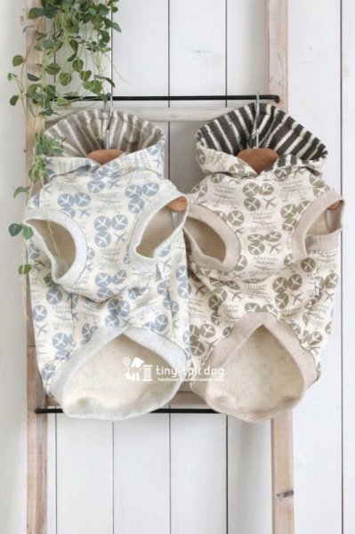 画像7: ａｉｒｐｌａｎｅ (7)