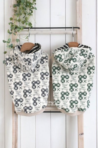 画像4: ａｉｒｐｌａｎｅ (4)