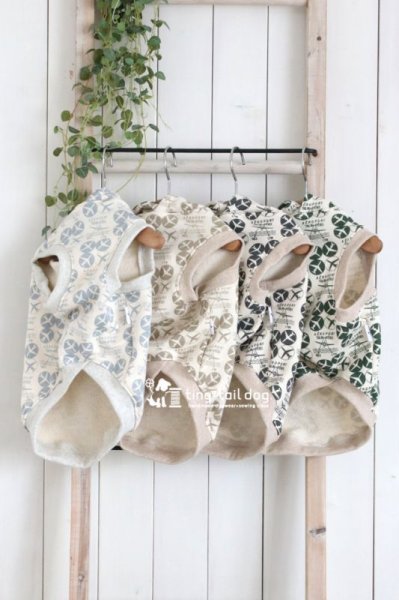 画像2: ａｉｒｐｌａｎｅ (2)