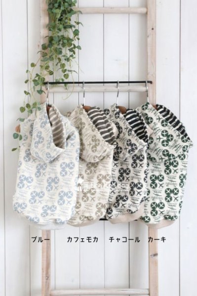 画像3: ａｉｒｐｌａｎｅ (3)