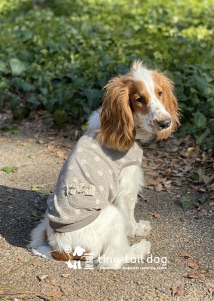 画像3: ＜在庫限り＞ ナチュラルドットタンク (3)