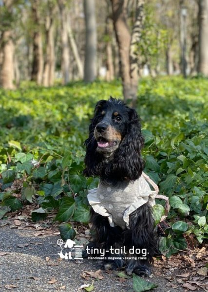 画像2: ＜在庫限り＞ ナチュラルドットタンク (2)