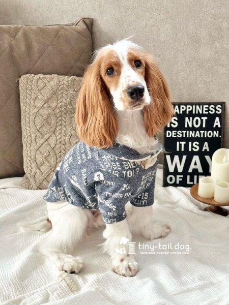 画像5: ショールカラートップス letter (5)