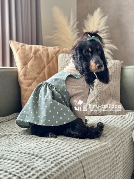 画像5: ドットのリボンチュニック (5)