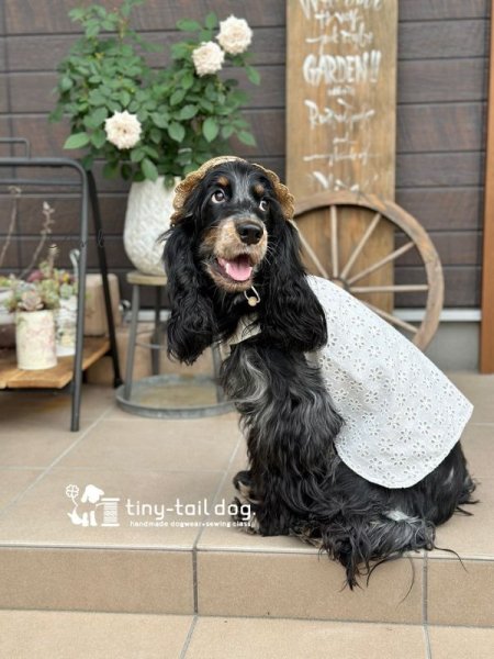 画像1: Jasmine (1)