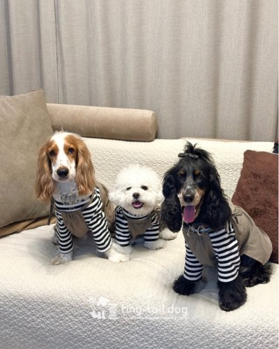 画像3: ギャザーサロペット　カヌレ